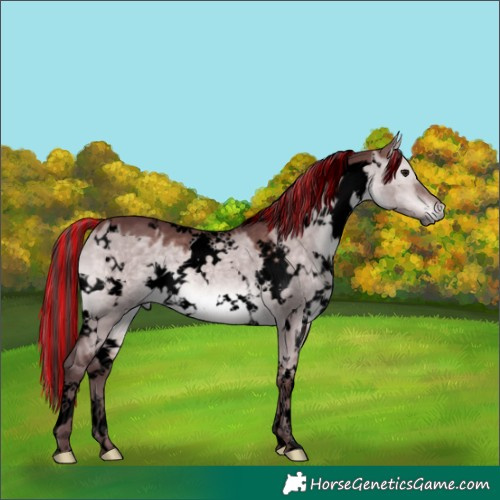 Horse Color:Void Platinum Painted White Spotted Chocolate Brown Dun 