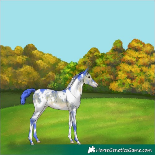 Horse Color:Watercolor White Spotted Chocolate Brown Dun Brindle 
