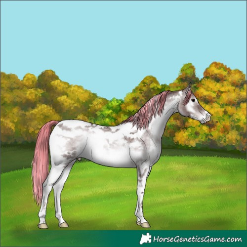 Horse Color:Platinum Painted White Spotted Chocolate Brown Onyx Tobiano 