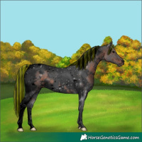 Horse Color:Void Painted White Spotted Brown Tobiano 