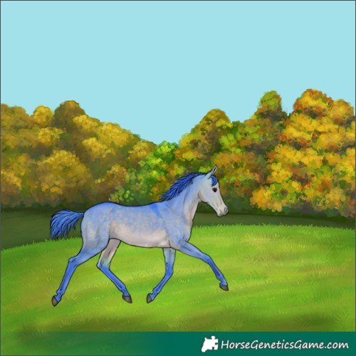 Horse Color:Watercolor Buckskin Dun 