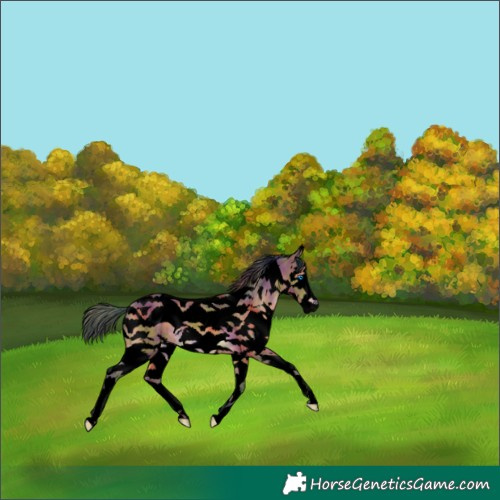 Horse Color:Void Nacre White Spotted Bay Splash Tobiano 