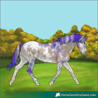 Horse Color:Watercolor White Spotted Brown Onyx 