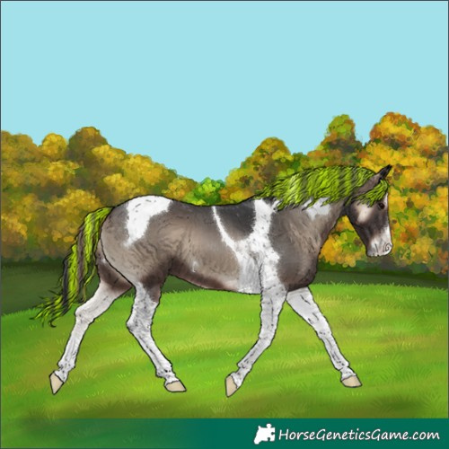Horse Color:Painted Blue Onyx Tobiano