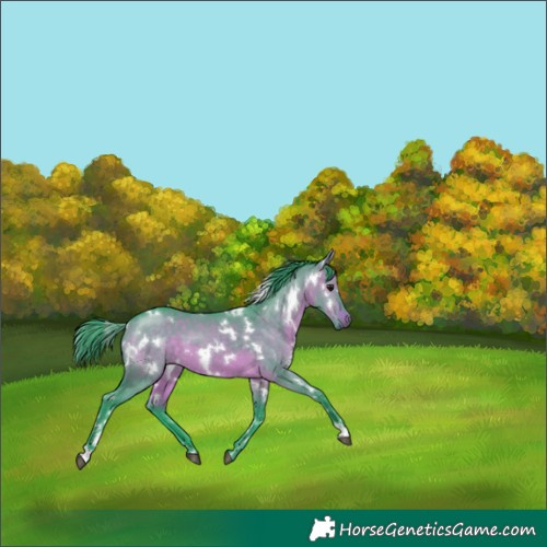 Horse Color:Watercolor White Spotted Brown Dun