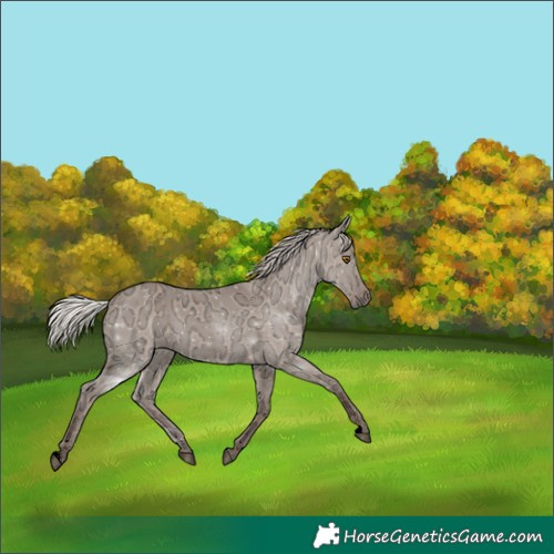 Horse Color:Void Silver Grullo Ice 