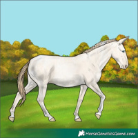 Horse Color:Smoky Grullo Ice Pearl Tobiano 