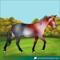 Horse Color:ERROR: UNKNOWN ANOMALY