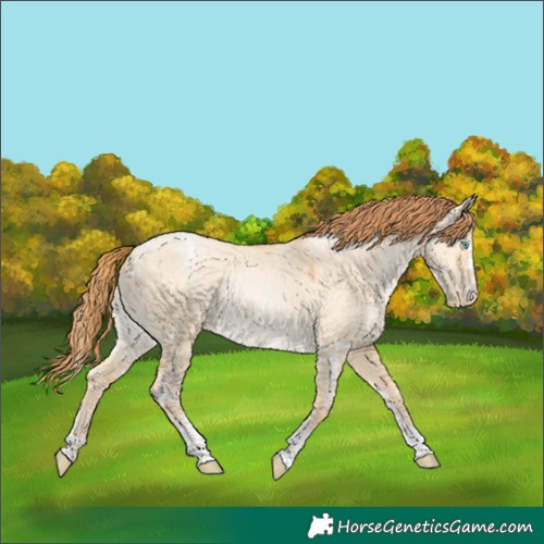 Horse Color:White Spotted Buckskin Pearl Dun Sabino 