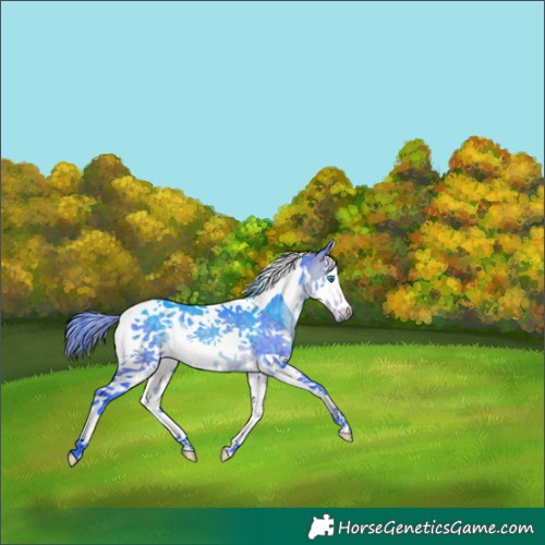Horse Color:Watercolor Buckskin Splash Tobiano 