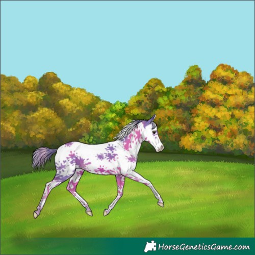 Horse Color:Watercolor Chestnut Splash Tobiano 