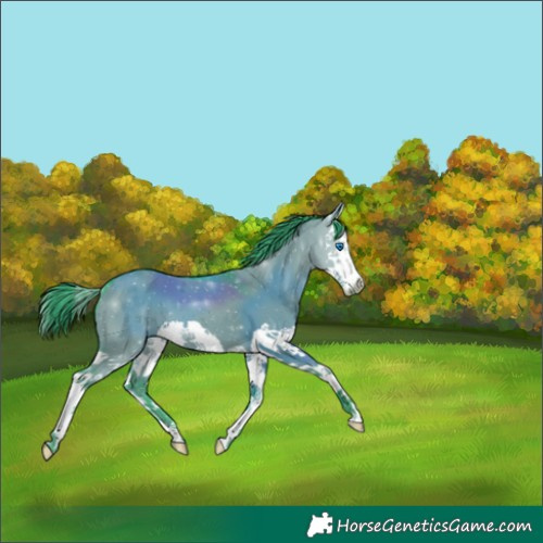 Horse Color:Watercolor Grullo Splash 