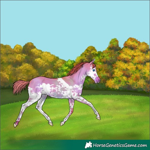 Horse Color:Watercolor Liver Red Dun Splash 