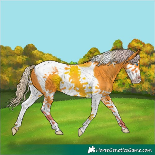 Horse Color:Watercolor Liver Chestnut Splash Tobiano 