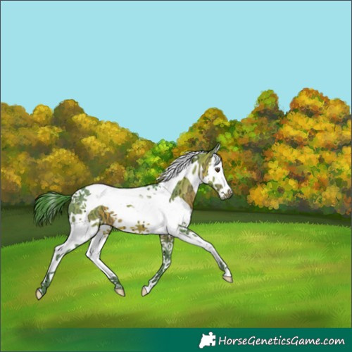 Horse Color:Watercolor Brown Ice Splash Tobiano 