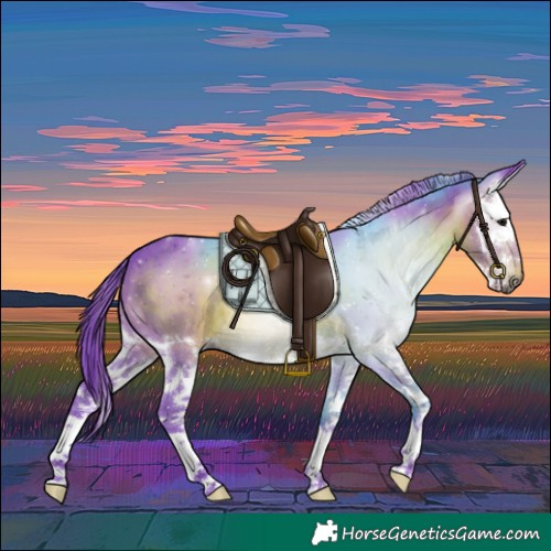 Horse Color:Gray Watercolor Brown Splash 