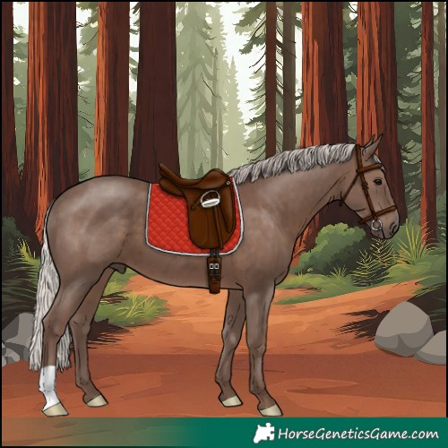 Horse Color:Silver Black 