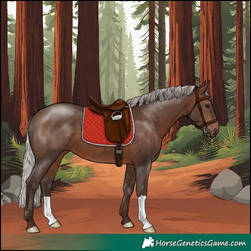 Horse Color:Silver Brown 