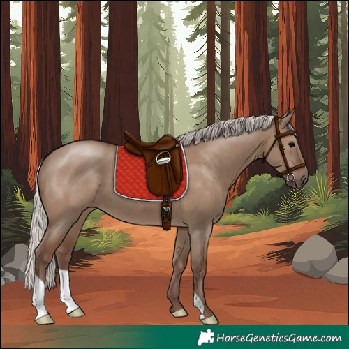 Horse Color:Silver Grullo 