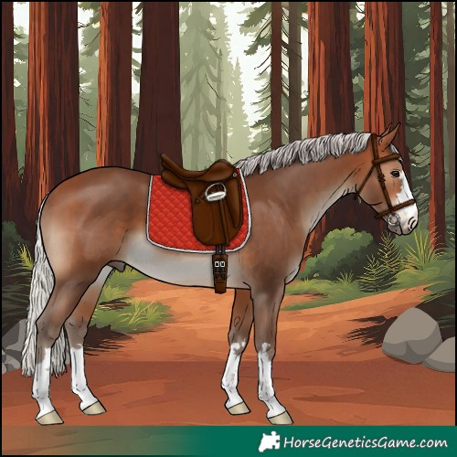 Horse Color:Silver Brown 