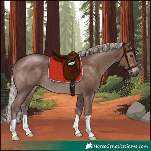 Horse Color:Silver Black 