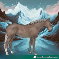 Horse Color:Silver Black 