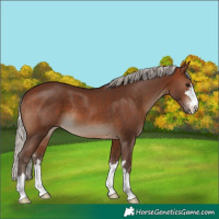 Horse Color:Silver Brown