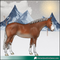 Horse Color:Silver Brown 