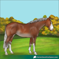 Horse Color:Silver Brown 