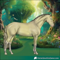 Horse Color:Watercolor Perlino 