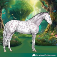 Horse Color:Watercolor Cremello Splash Appaloosa 
