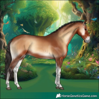 Horse Color:Bay Onyx Rabicano