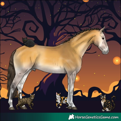Horse Color:Buckskin Onyx Tobiano Rabicano 