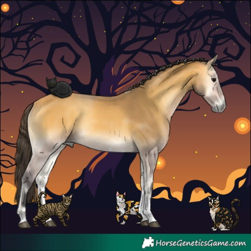 Horse Color:Buckskin Onyx Tobiano Rabicano 