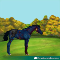 Horse Color:ERROR: UNKNOWN ANOMALY