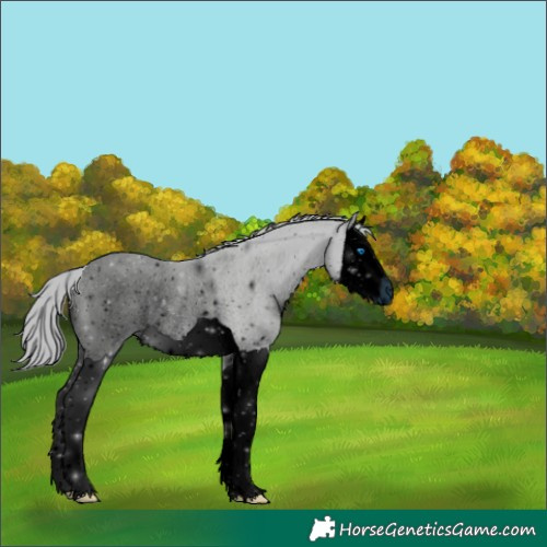 Horse Color:ERROR: UNKNOWN ANOMALY