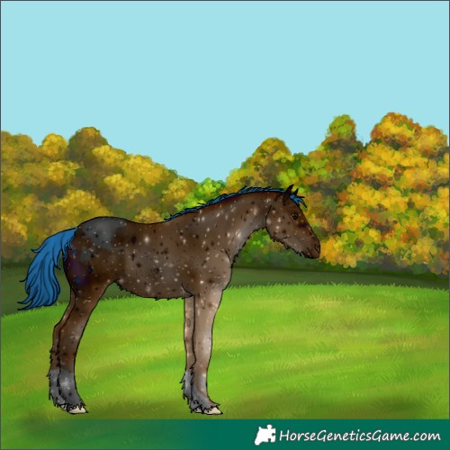 Horse Color:ERROR: UNKNOWN ANOMALY