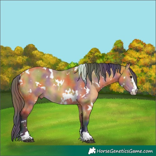 Horse Color:Nacre White Spotted Buckskin 
