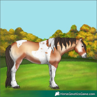 Horse Color:Bay Onyx Tobiano 