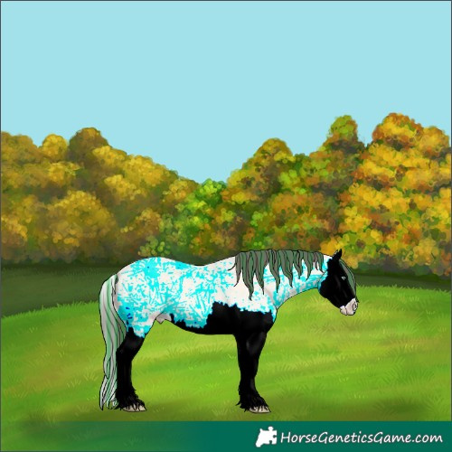Horse Color:Painted Amber Cream Champagne Ice Dun Splash