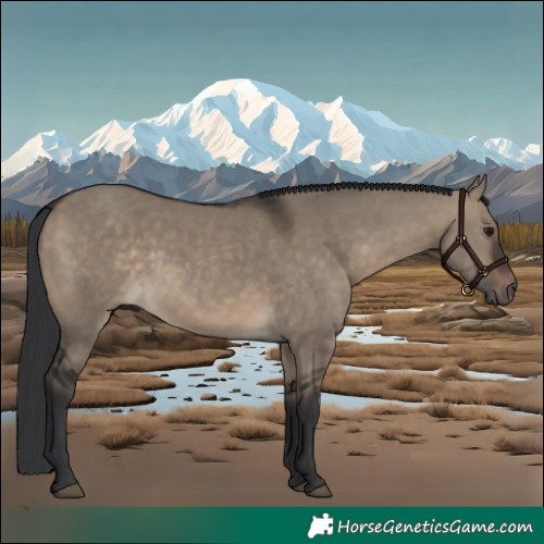 Horse Color:Brown Dun 