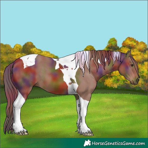 Horse Color:Nacre Chestnut Tobiano 
