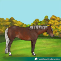 Horse Color:Silver Brown 