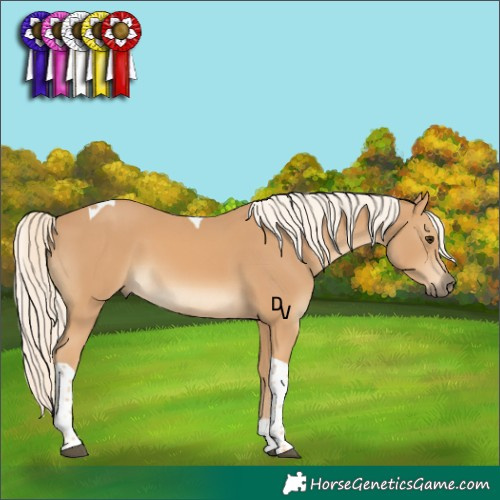 Horse Color:Chestnut Mushroom Tobiano