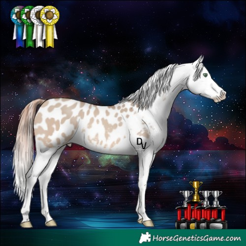 Horse Color:Amber Champagne Dun Blanket Rabicano 