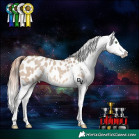 Horse Color:Amber Champagne Dun Appaloosa Rabicano 