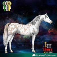 Horse Color:Amber Champagne Dun Appaloosa Rabicano