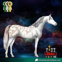 Horse Color:Amber Champagne Dun Appaloosa Rabicano 