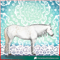 Horse Color:Gray Red Dun Leopard  and Gray Red Dun Leopard 
