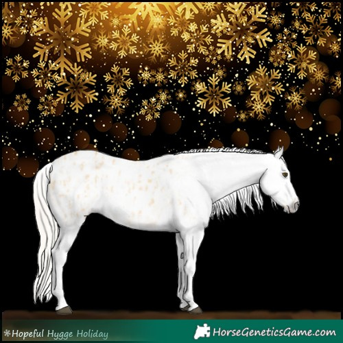 Horse Color:Palomino Dun Blanket  and Gray Palomino Dun Blanket 